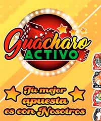 guacharo activo